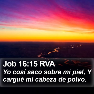 Job 16:15 RVA Bible Verse Image
