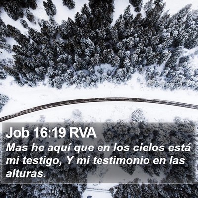 Job 16:19 RVA Bible Verse Image