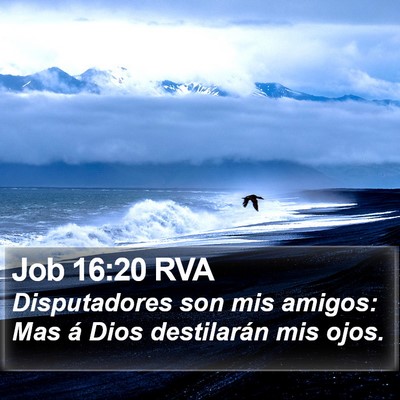 Job 16:20 RVA Bible Verse Image