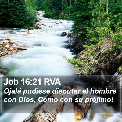 Job 16:21 RVA Bible Verse Image