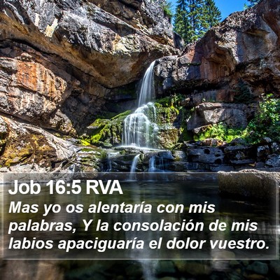 Job 16:5 RVA Bible Verse Image