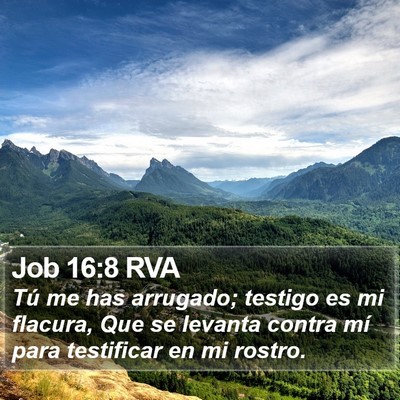 Job 16:8 RVA Bible Verse Image
