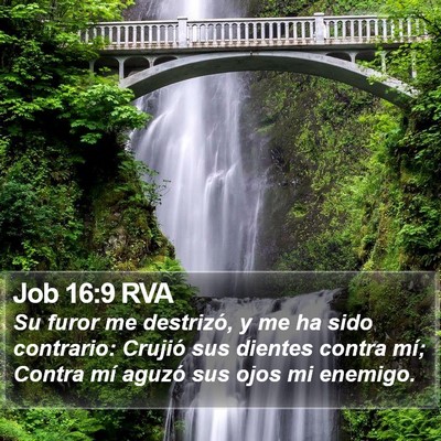 Job 16:9 RVA Bible Verse Image