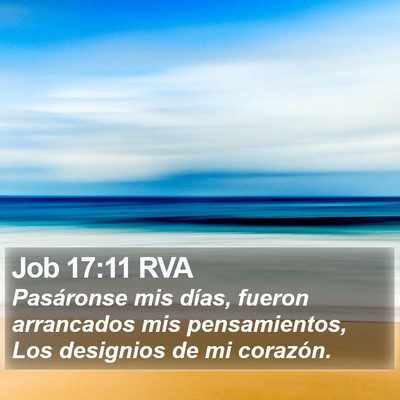 Job 17:11 RVA Bible Verse Image