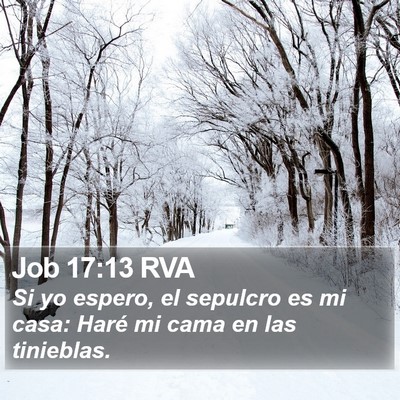 Job 17:13 RVA Bible Verse Image