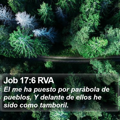 Job 17:6 RVA Bible Verse Image