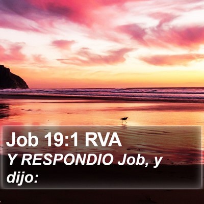 Job 19:1 RVA Bible Verse Image