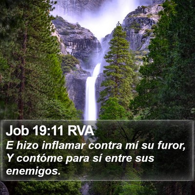 Job 19:11 RVA Bible Verse Image