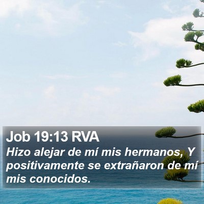 Job 19:13 RVA Bible Verse Image