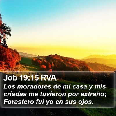 Job 19:15 RVA Bible Verse Image