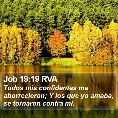 Job 19:19 RVA Bible Verse Image