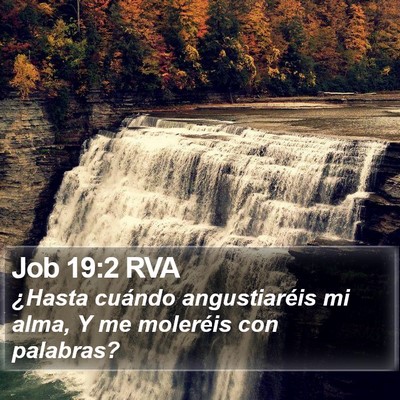 Job 19:2 RVA Bible Verse Image