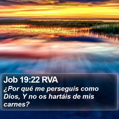Job 19:22 RVA Bible Verse Image