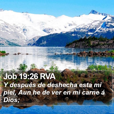 Job 19:26 RVA Bible Verse Image