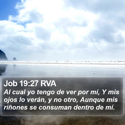 Job 19:27 RVA Bible Verse Image