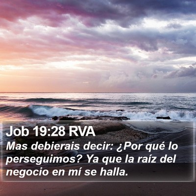 Job 19:28 RVA Bible Verse Image