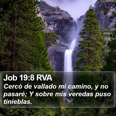 Job 19:8 RVA Bible Verse Image
