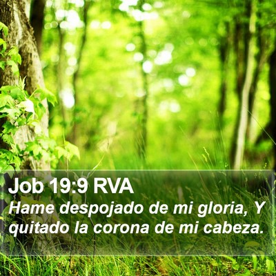 Job 19:9 RVA Bible Verse Image