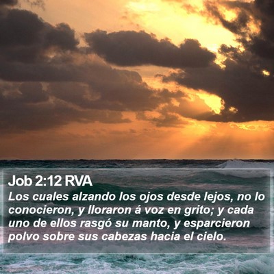 Job 2:12 RVA Bible Verse Image
