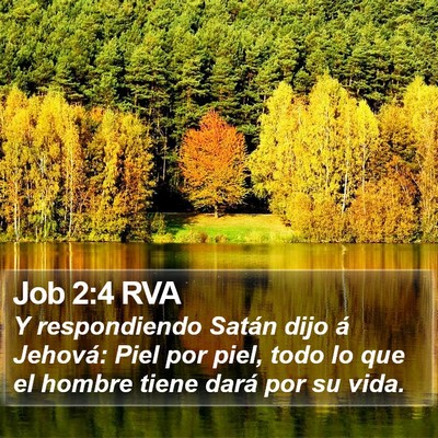 Job 2:4 RVA Bible Verse Image