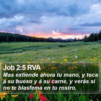 Job 2:5 RVA Bible Verse Image