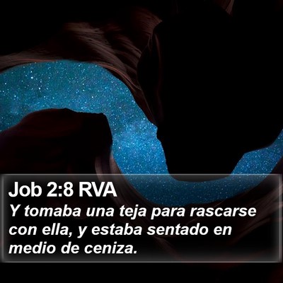 Job 2:8 RVA Bible Verse Image