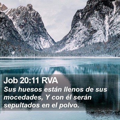 Job 20:11 RVA Bible Verse Image