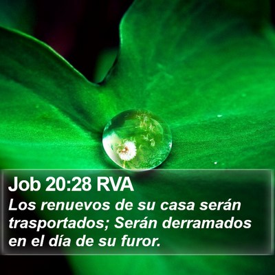 Job 20:28 RVA Bible Verse Image