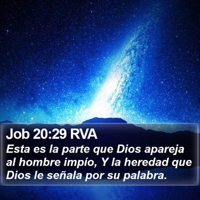 Job 20:29 RVA Bible Verse Image