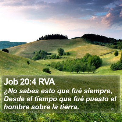 Job 20:4 RVA Bible Verse Image