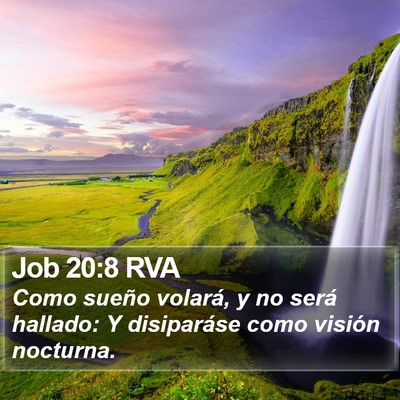 Job 20:8 RVA Bible Verse Image