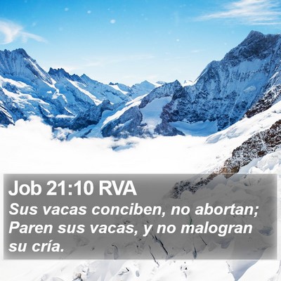 Job 21:10 RVA Bible Verse Image