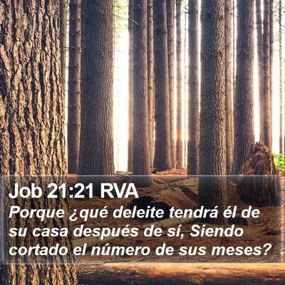 Job 21:21 RVA Bible Verse Image