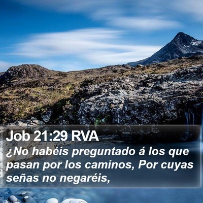 Job 21:29 RVA Bible Verse Image