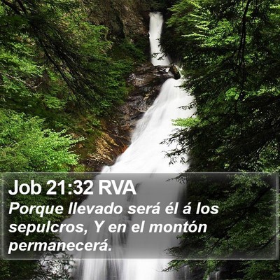 Job 21:32 RVA Bible Verse Image