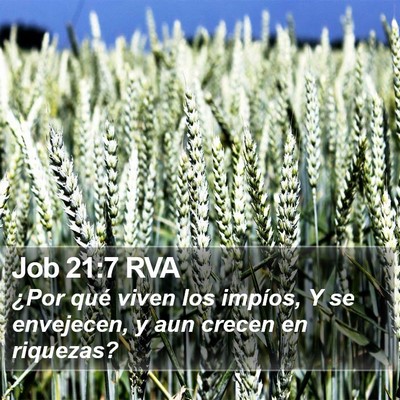 Job 21:7 RVA Bible Verse Image
