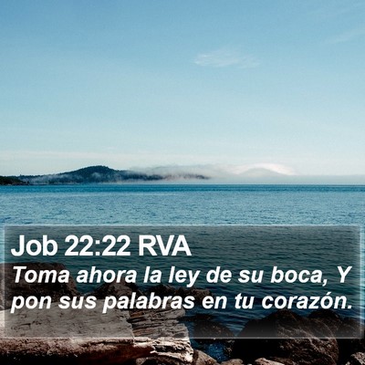 Job 22:22 RVA Bible Verse Image