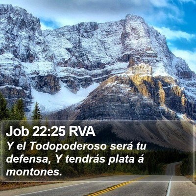 Job 22:25 RVA Bible Verse Image