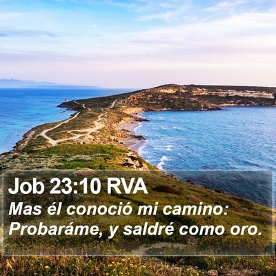 Job 23:10 RVA Bible Verse Image