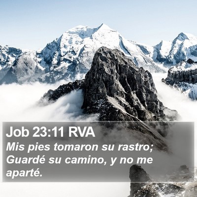 Job 23:11 RVA Bible Verse Image
