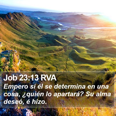 Job 23:13 RVA Bible Verse Image