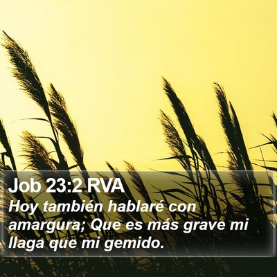 Job 23:2 RVA Bible Verse Image