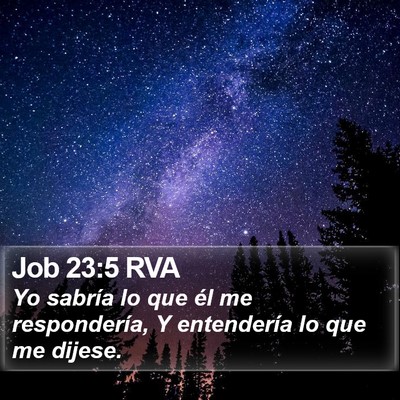 Job 23:5 RVA Bible Verse Image