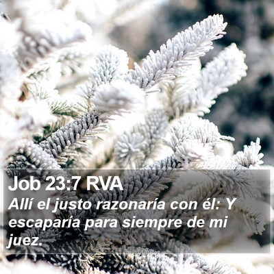 Job 23:7 RVA Bible Verse Image