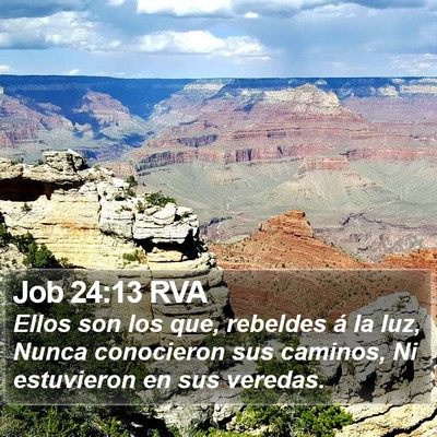 Job 24:13 RVA Bible Verse Image