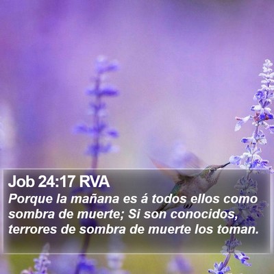 Job 24:17 RVA Bible Verse Image