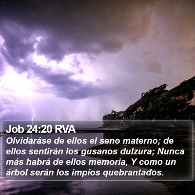Job 24:20 RVA Bible Verse Image