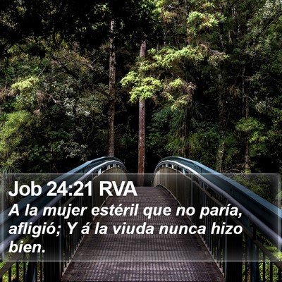 Job 24:21 RVA Bible Verse Image