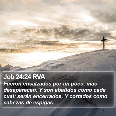 Job 24:24 RVA Bible Verse Image