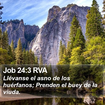 Job 24:3 RVA Bible Verse Image